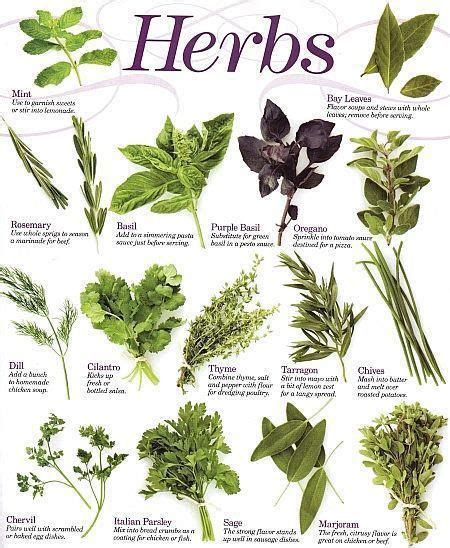 Herbal Chart Healthy Herbs Healing Herbs Raised Herb Garden