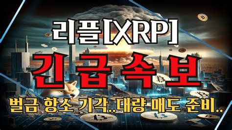 『리플xrp』긴급속보 벌금 항소가 기각됐습니다자사주 대량 매도 준비중하 리플 리플코인 코인 코인전망 비트