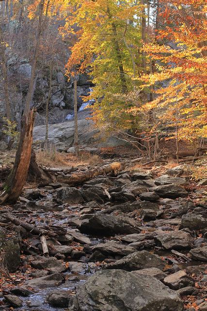 Catoctin Mountain Park | National Park Foundation