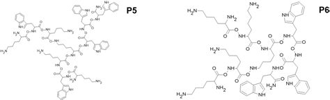 Ijms Free Full Text Effect Of Newly Synthesized Structures Of