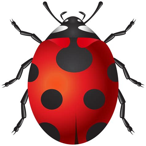 Ladybug PNG Clip Art - Best WEB Clipart