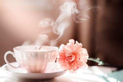 warmesheisses wasser trinken zahnarzt  nettetal dr huschang saidi