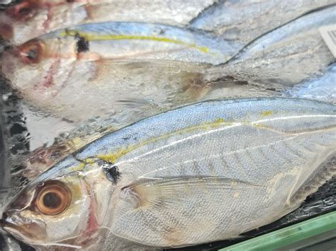 Fish Face Seafood Blog | Supermarket Safari: The Joy of Overseas Fish ...