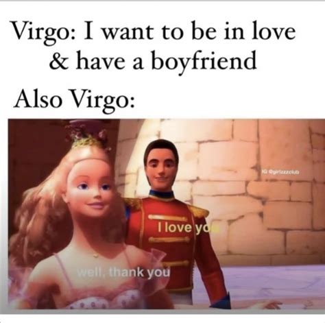 Funny And Relatable Virgo Memes So Syncd