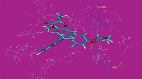 The Binding Mode Of Compound 3 With COX II Enzyme Forming 4 Hydrogen