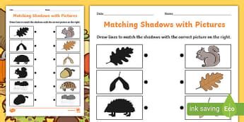 Scheme Of Learning Autumn Eyfs Twinkl Page