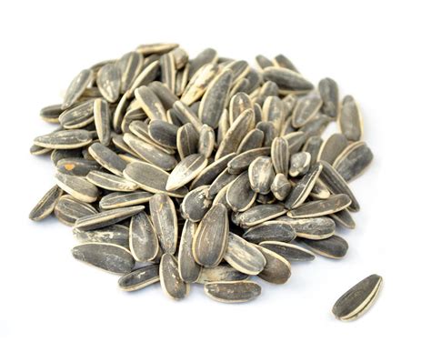 1256x733px 201.24 KB Sunflower Seeds #451684