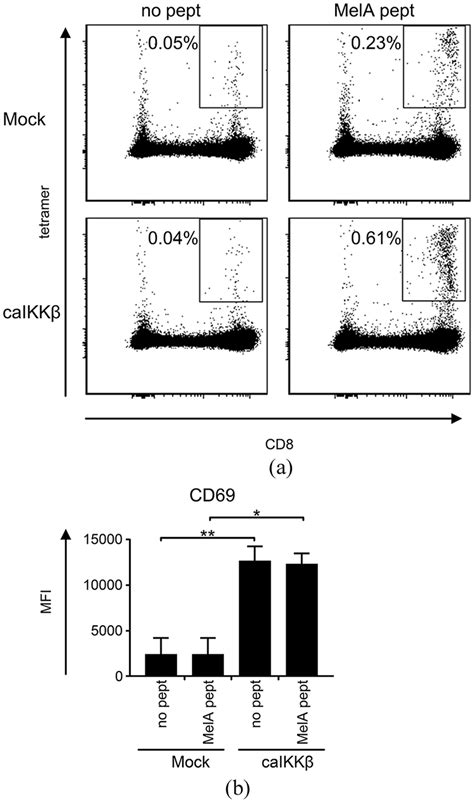 Stimulation Of Peripheral Blood Mononuclear Cells Pbmcs With