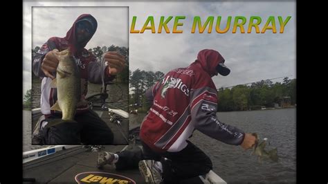 Lake Murray Bass Fishing Youtube