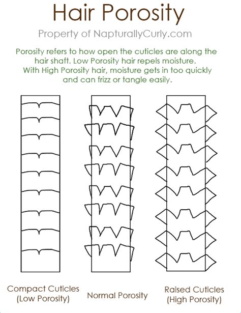 39+ Low Porosity Hair Test - UlanPuandika