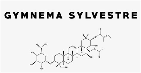 Gymnema Sylvestre: Uses, Side Effects, Interactions, Dosage and Supplements