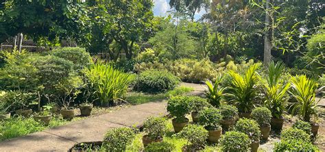 Dasmariñas Manila Memorial Park