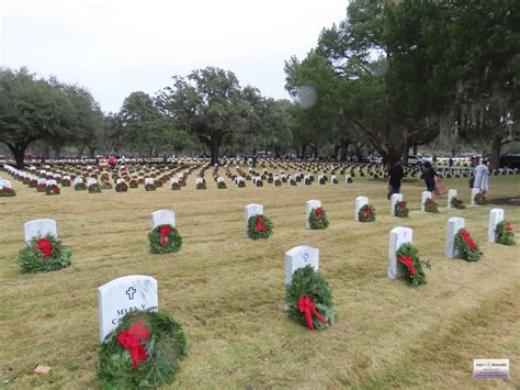 New festivals will soon be hosted on beaufort street 21
