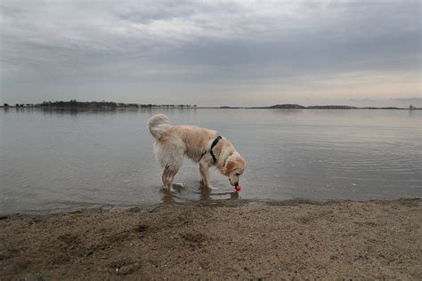 Boston weather: Here's what to expect from Tuesday's forecast