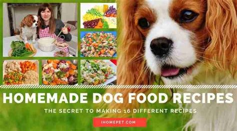 Homemade Dog Food Recipes (Making 16 Different Recipes)