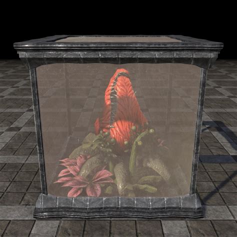 Online Fargrave Terrarium Massive Gas Blossom The Unofficial Elder