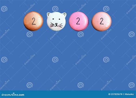 Three Colorful Round Macaroons With Numbers And One In The Shape Of Cat