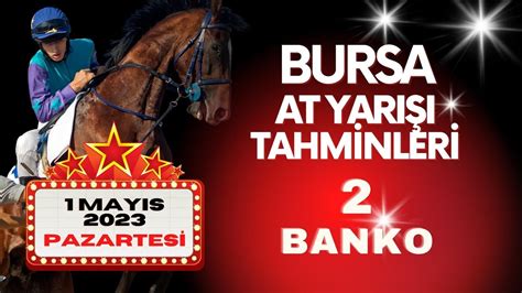 1 Mayıs 2023 Pazartesi Bursa At Yarışı Tahminleri YouTube