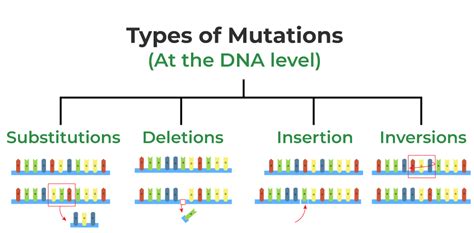 Notes For Cbse Class Biology Chapter