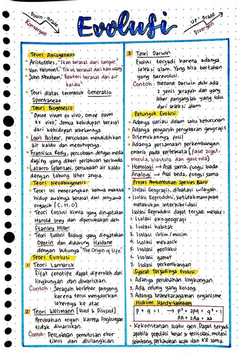 oleh Seika Murakami di Studygram | Evolusi, Kelas sains, Belajar