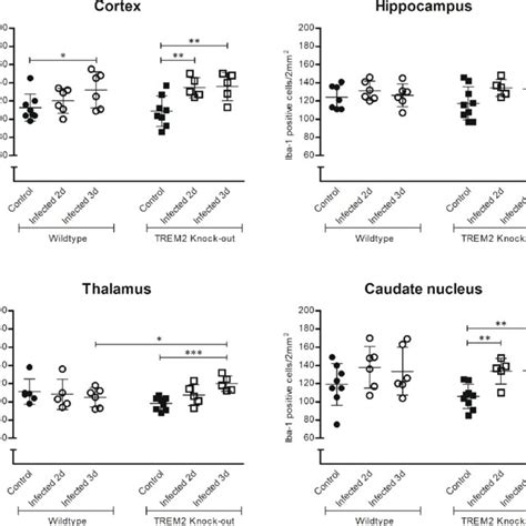 Histopathological Counts Of Microglia Number Of Iba Positive