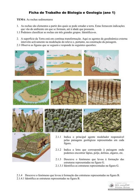 Pdf Ficha De Trabalho De Biologia E Geologia Ano Ficha De