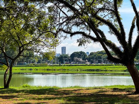 Descubra O Que Fazer No Parque Ibirapuera 16 Ideias