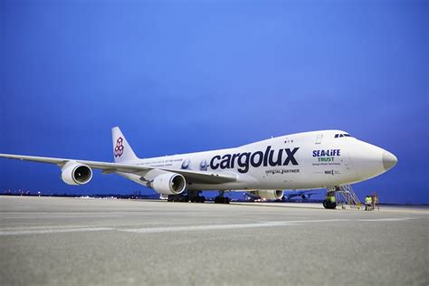 Beluga flight faces delay | FORWARDER magazine