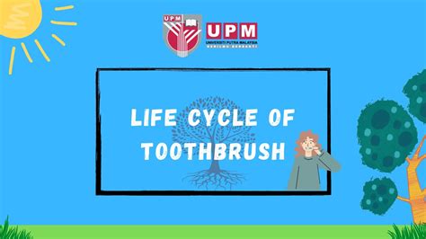 Life Cycle Assessment Lca Of Toothbrush Youtube