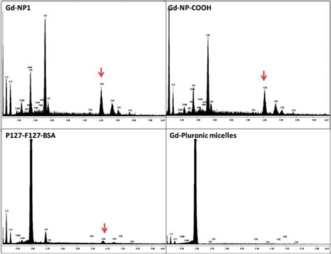 Edax Analyses Of Gd On Di Ff Erent Types Of Nps The Results Show That