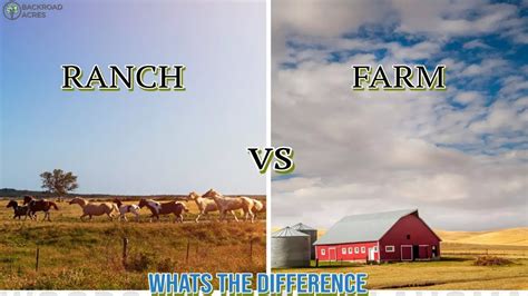 Ranch Vs Farm Whats The Difference YouTube