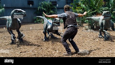 Chris Pratt Jurassic World 2015 Stock Photo Alamy