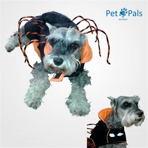 Disfraz de Araña para perro Pet Pals Boutique