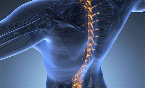 lumbar radiculopathy Archives | Pain & Spine Specialists of Idaho