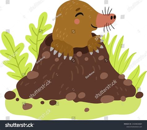images stock   objects vectors shutterstock