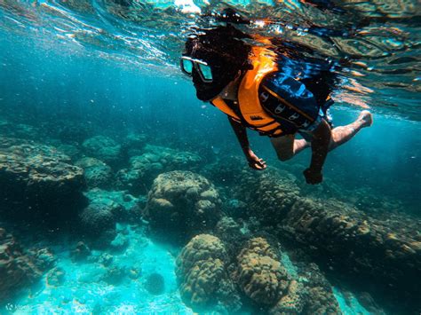 Join In Snorkeling Tour To Phi Phi Islands From Koh Lanta in krabi - Klook