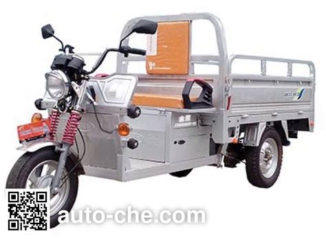 Dalishen Electric Cargo Moto Three Wheeler DLS4500DZH 5C Manufactured