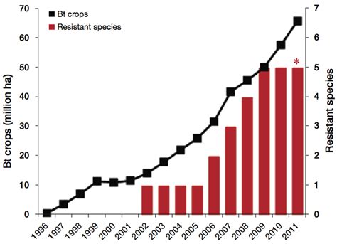 Five Pest Species Now Immune To Gmo Corn And Cotton Grist