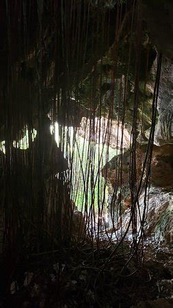 Cayman Brac Caves - 2020 All You Need to Know BEFORE You Go (with ...