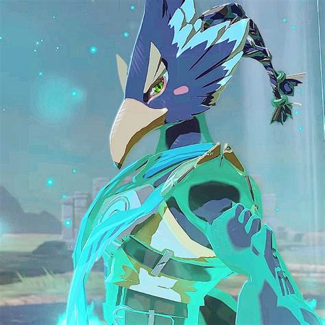 Normal Person Legend Of Zelda Breath Birdman Breath Of The Wild