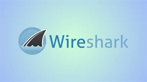 Cómo usar Wireshark en Kali Linux Una guía paso a paso