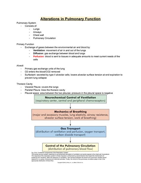 Pathophysiology EXAM 3 Notes Alterations In Pulmonary Function