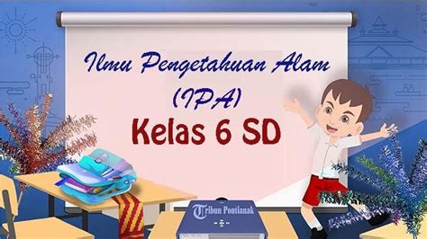 Soal Dan Kunci Jawaban Asesmen Madrasah Ipa Kelas 6 Mi Kurikulum