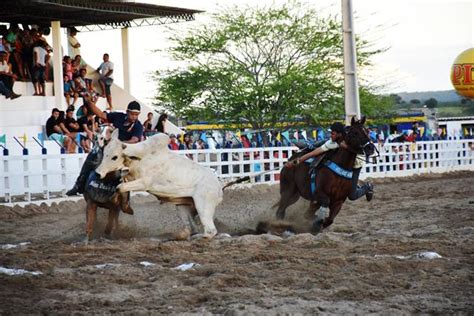 Portal Vaquejada Líder do CPV é campeão em Frei Miguelinho PE