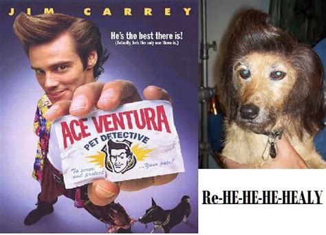 Wait A Minutethats Not Snowflake Ace Ventura Pet Detective Pets