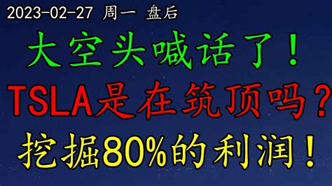 华尔街大空头喊话了！tsla是在筑顶吗？挖掘80的利润！sp500、nas100、美元、soxl、nvda、coin、goog、aapl