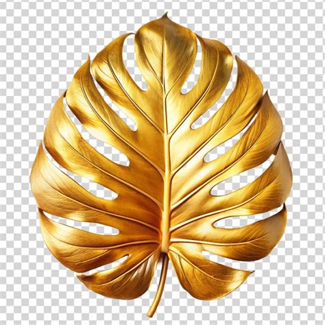 Premium PSD Golden Tropical Monstera Leave Isolated On Transparent