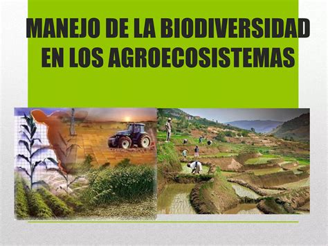 Manejo De La Biodivesidad En Los Agroecosistemas PPT Descarga Gratuita