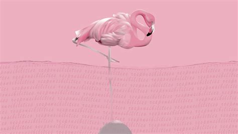 Flamingo Laptop Wallpapers - Top Free Flamingo Laptop Backgrounds ...