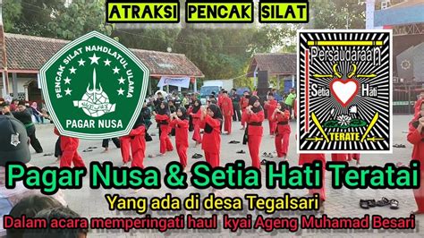 Atraksi Pencak Silat Pagar Nusa Setia Hati Teratai YouTube